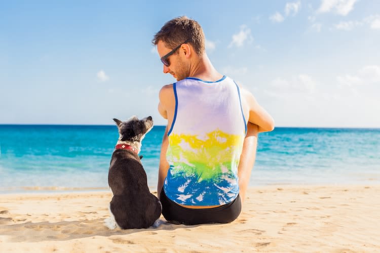 Chien et chat: les destinations pet-friendly de 2017