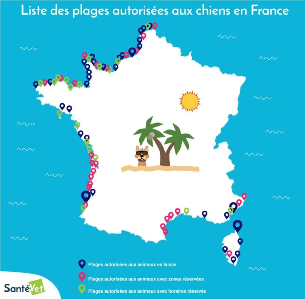 liste-plages-pour-chiens-2017