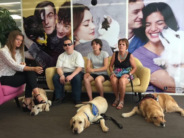 Vivre avec un chien guide d&rsquo;aveugle