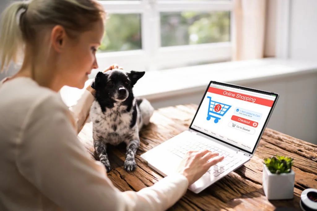 accessoires_chiens_occasions