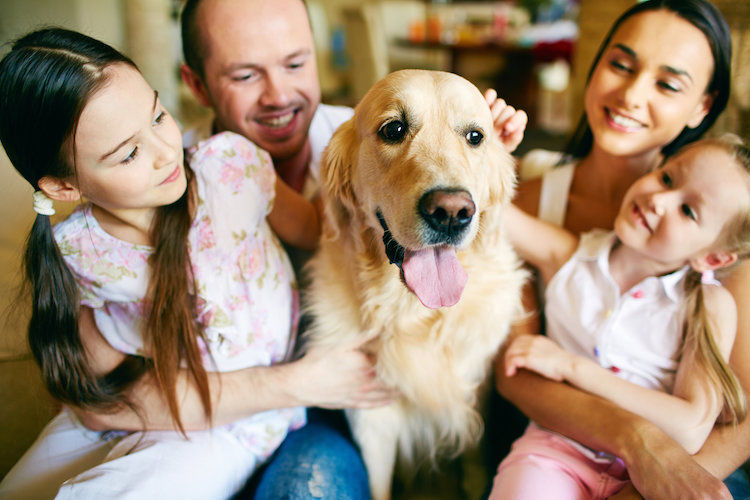 Chien, chat et NAC : 3 conseils pour préparer la rentrée