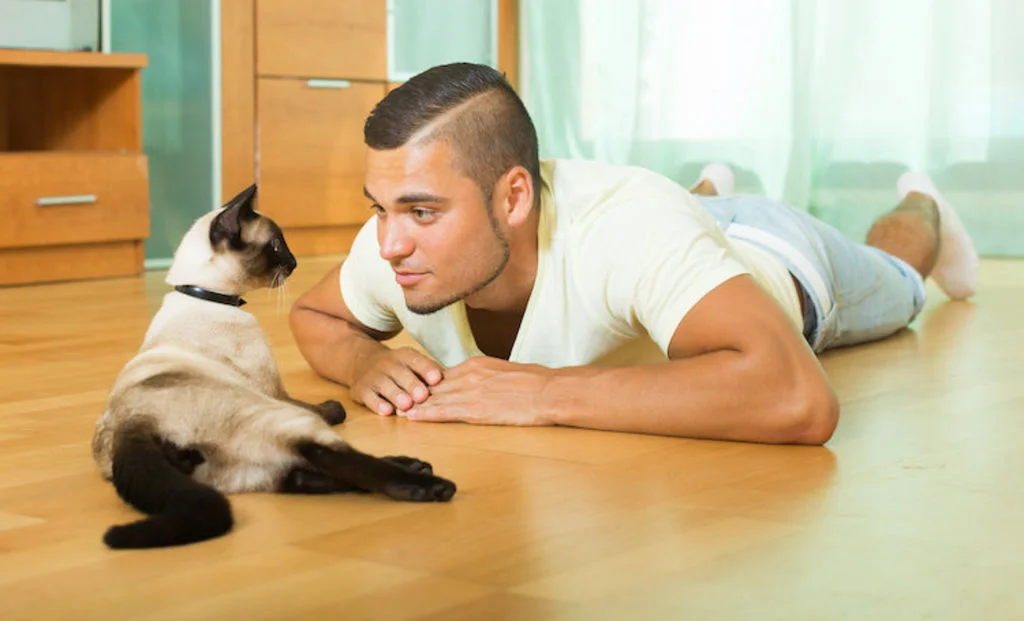 jouer_avec_son_chat