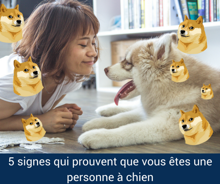 5 signes qui prouvent que vous êtes un ami des chiens