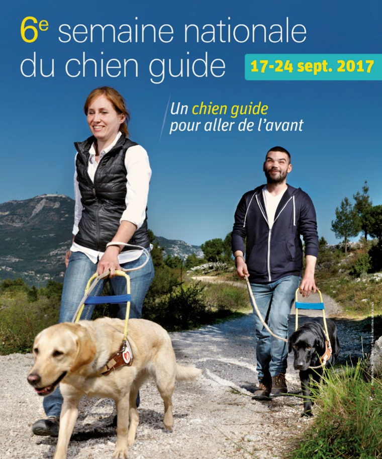 17-24 septembre : 6e semaine nationale du chien guide
