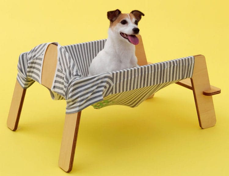 Accessoires pour chiens et chats étonnants et à tous prix!