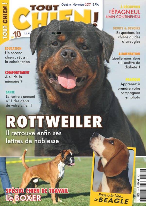 Quelles revues pour les amoureux des chiens et chats ?
