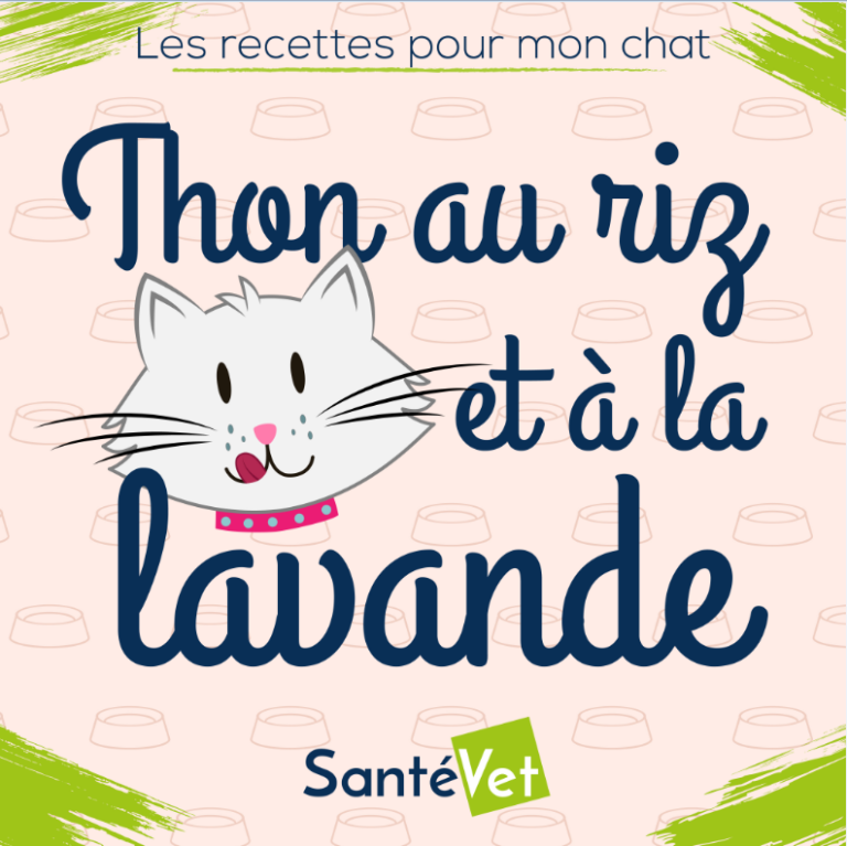 Recette pour mon chat : thon à la lavande