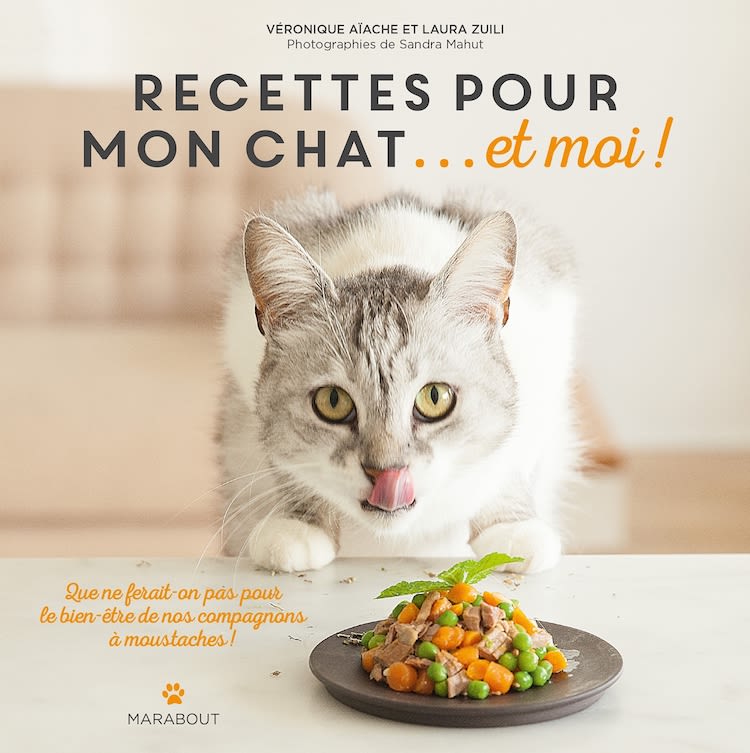 Quelles recettes maison pour mon chat et pour moi  ?