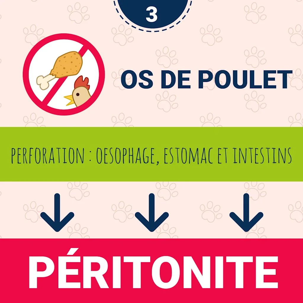 3-Os_Poulet