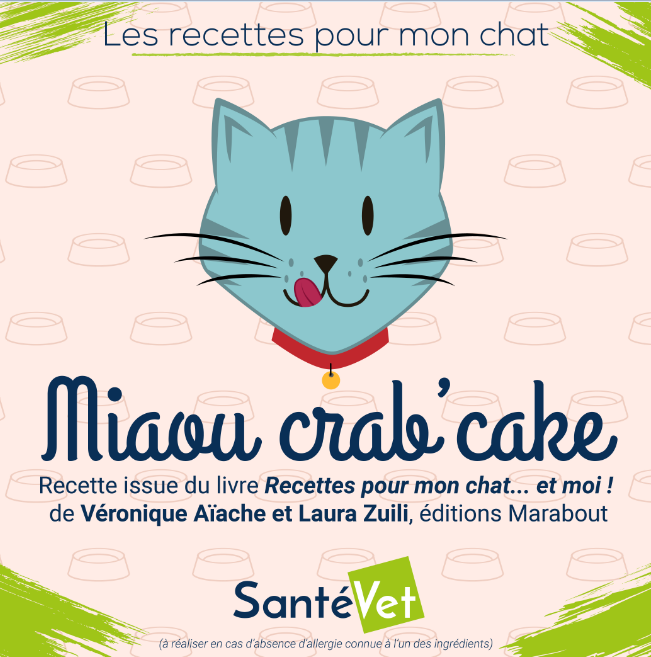 Recette pour mon chat : le cake au crabe
