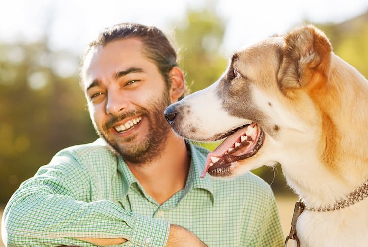 Vivre avec un chien permet de vivre plus longtemps !