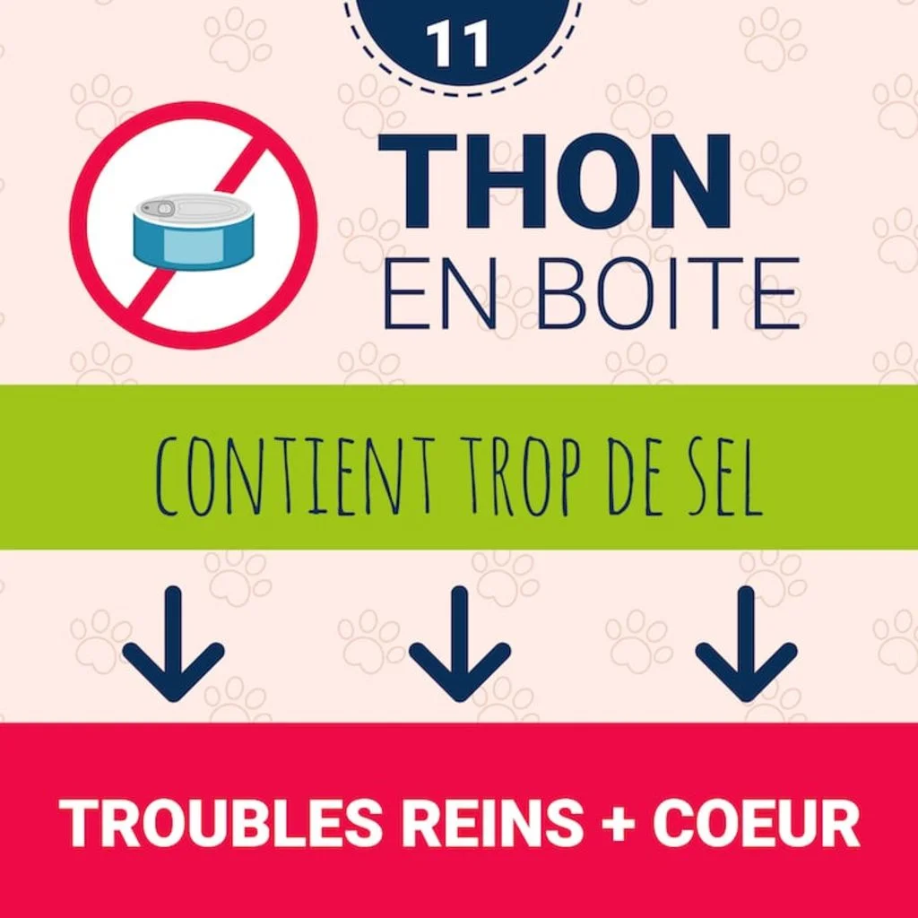 danger_thon_boite_chien