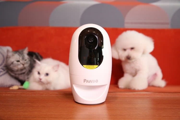 Restez en contact avec votre chien ou chat !