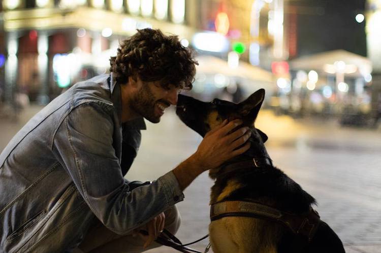 Un chien guide d’aveugle expulsé d’un magasin