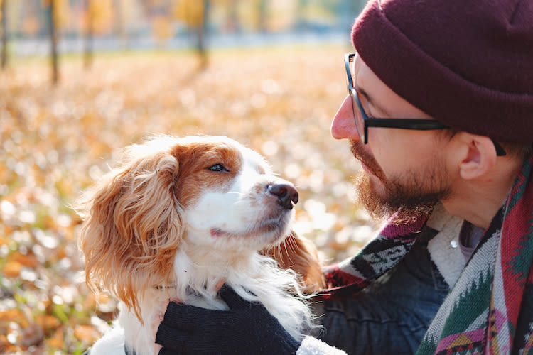 À partir de quelle température un chien a-t-il froid ?