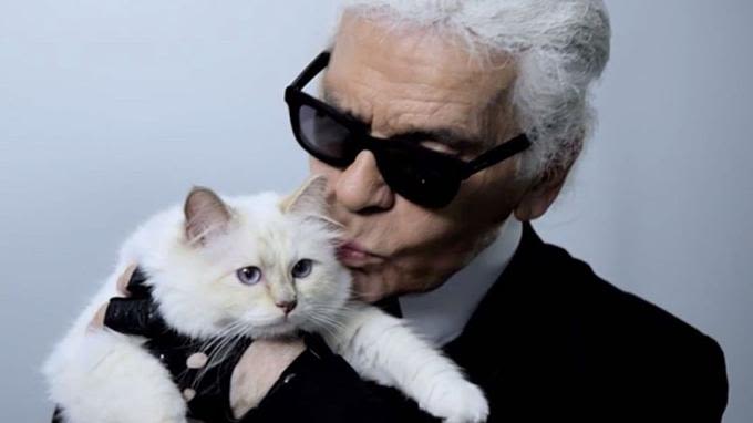 Disparition de Karl Lagerfeld : que va devenir Choupette ?