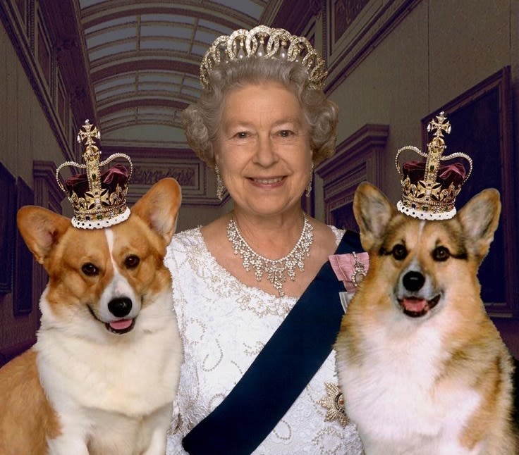 Reine Elizabeth II : des corgis aux ‘’dorgis’’