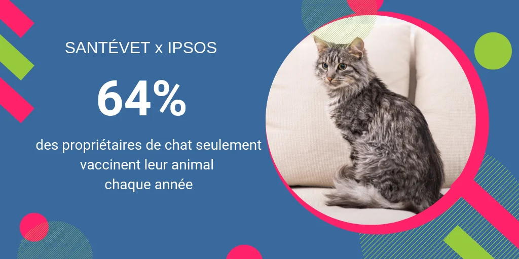 les chats moins bien vaccinés que les chiens