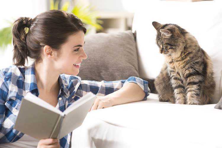 Le chat est-il moins proche que le chien ? Pas si sûr !
