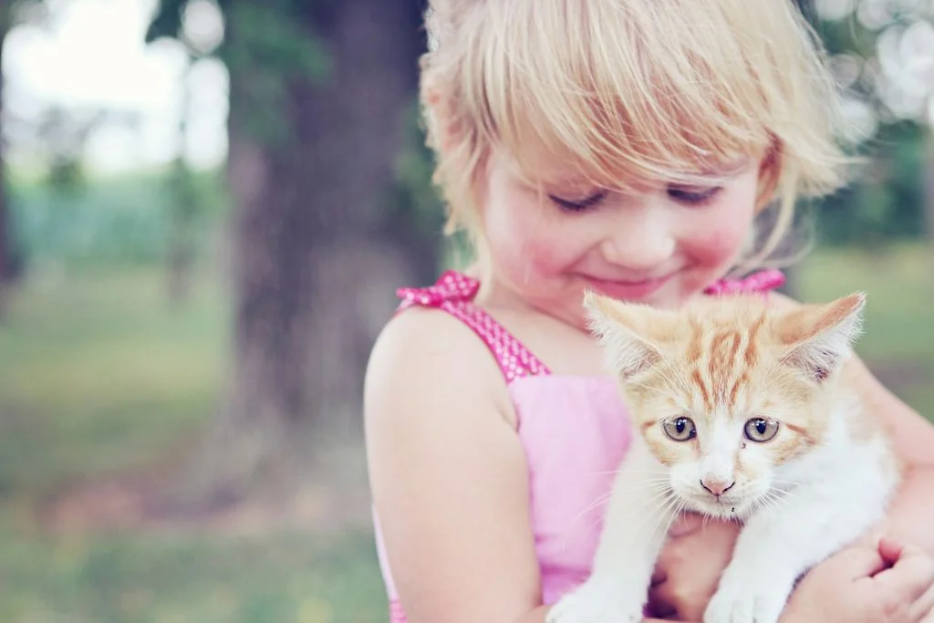 petite fille chaton