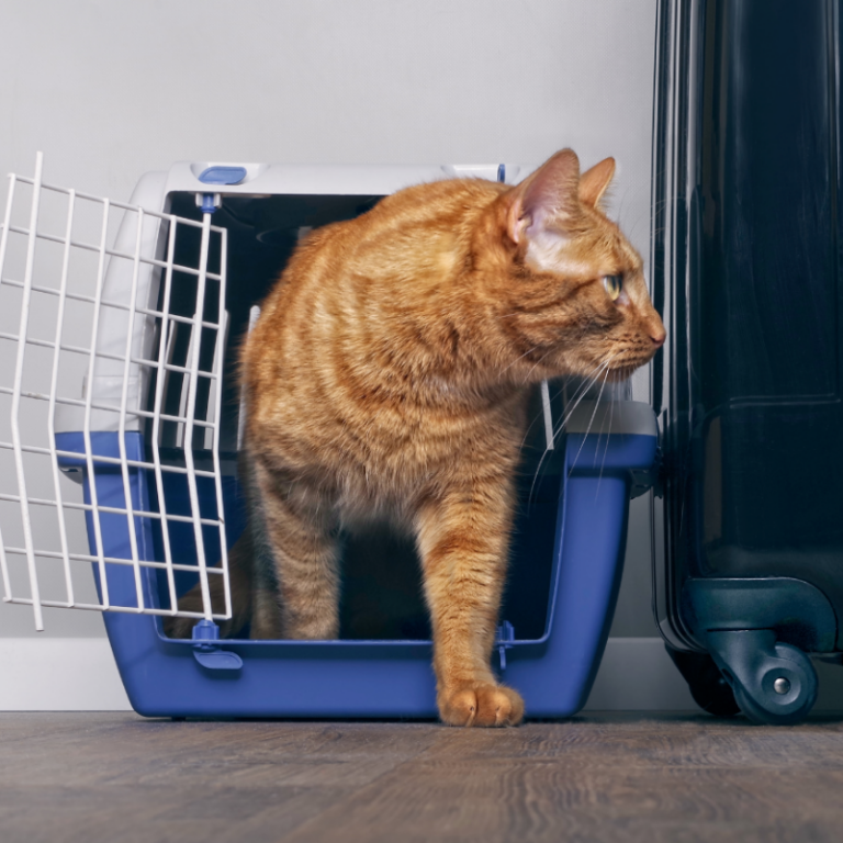 Vacances : 5 conseils pour bien les préparer