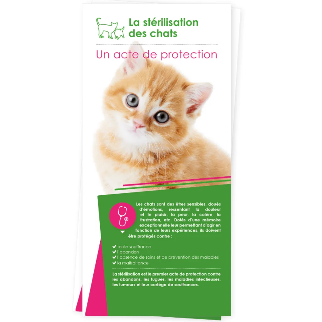 SV Mag - dépliant stérilisation
