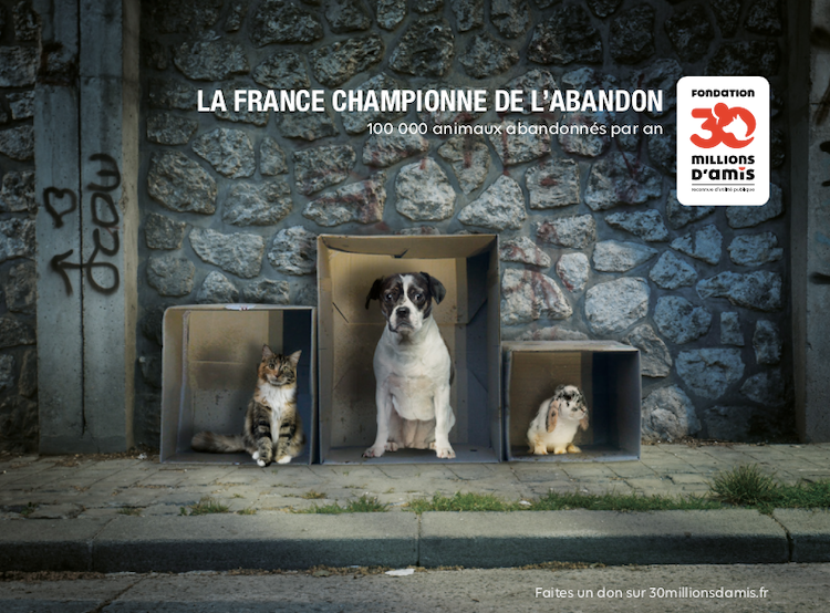 Fondation 30 Millions d’Amis : un honteux palmarès !