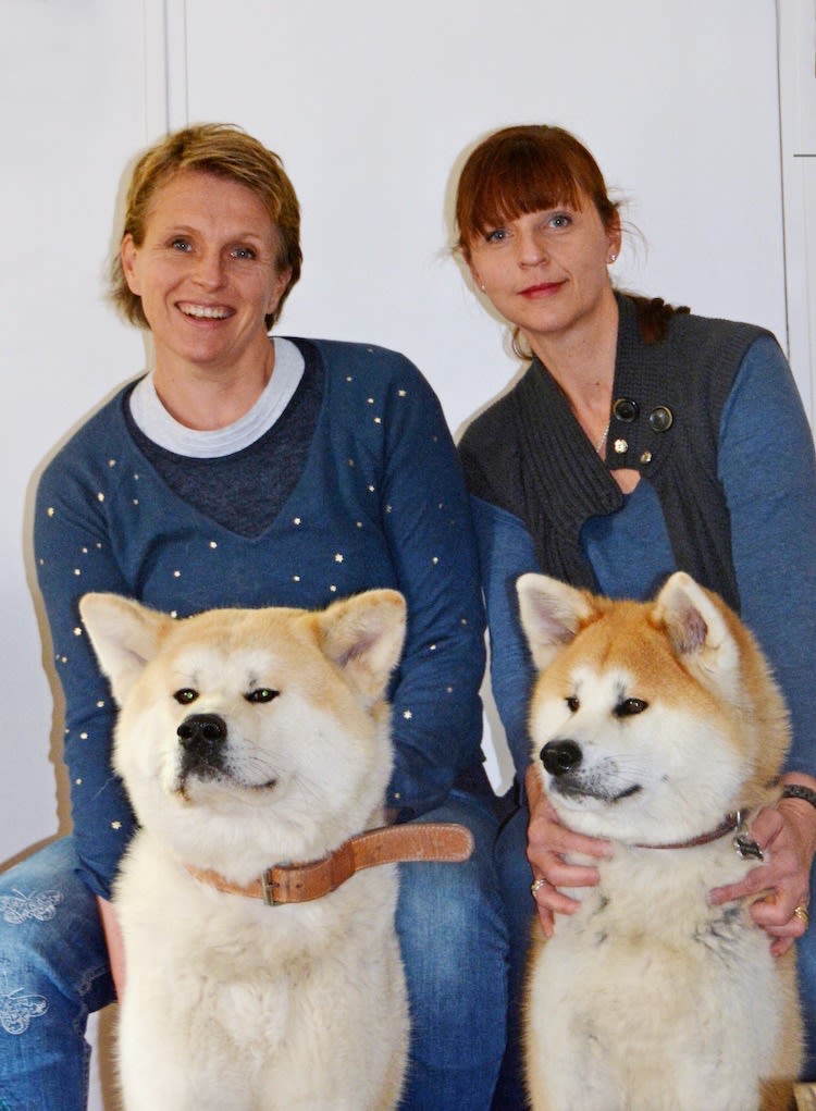 Des accessoires pour chiens et chat contre les abandons