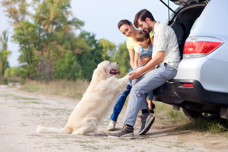 Vacances : les destinations les plus Pet-Friendly