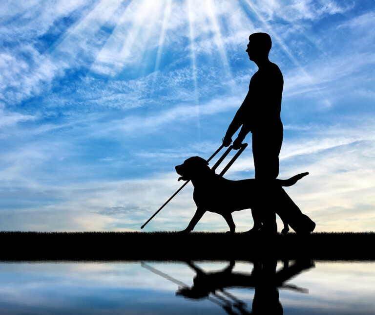 Devenir famille d’accueil pour chien-guide