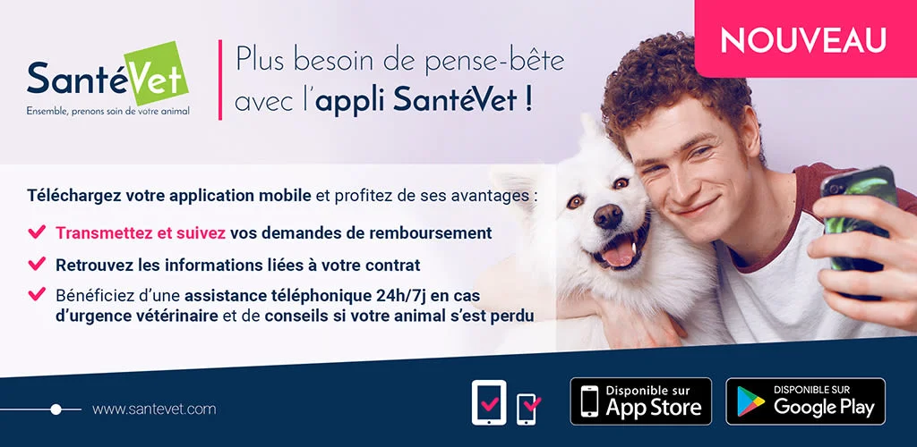 Visuel_Pr&eacute;sentation_HD_1024_500