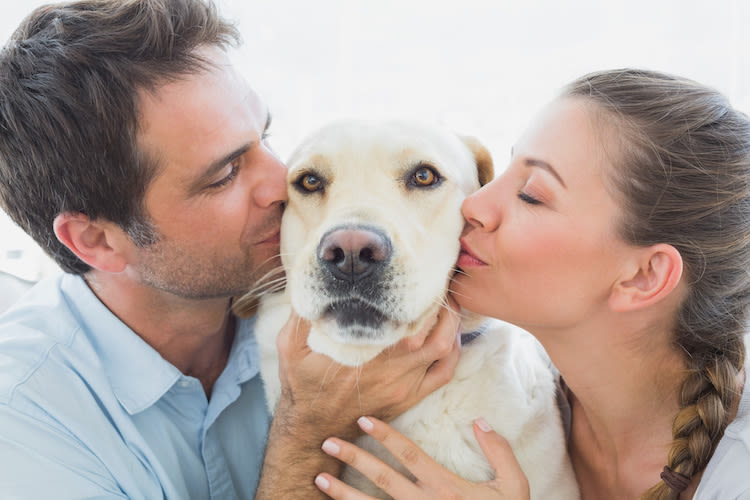 Faire garder son animal… pensez à vos voisins !