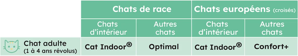 CHAT ADULTE quelle assurance choisir santévet