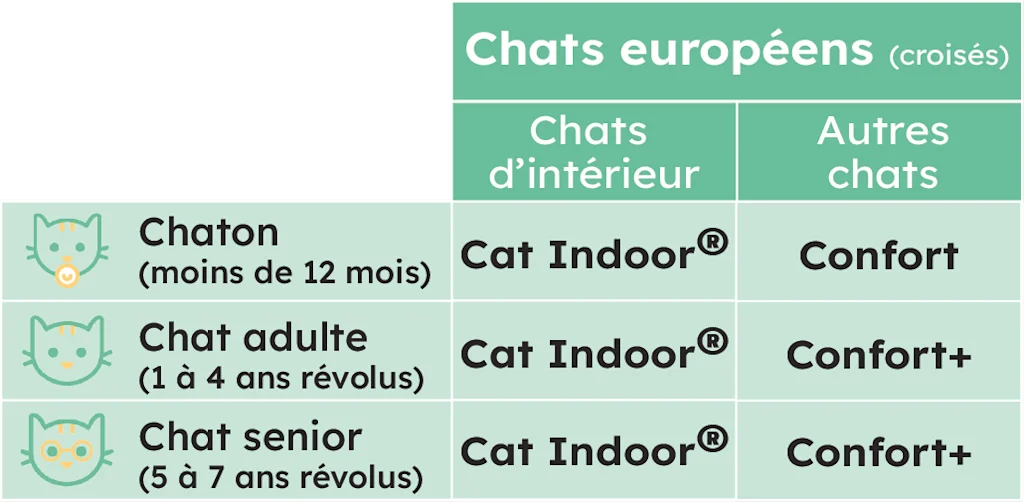 CHAT EUROPEEN quelle assurance choisir santévet