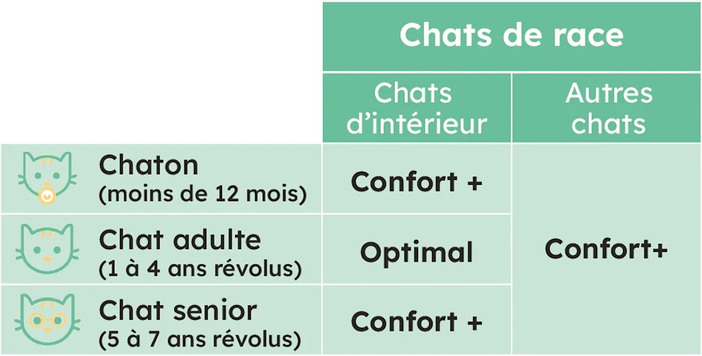 CHAT PURE RACE quelle assurance choisir sant&eacute;vet