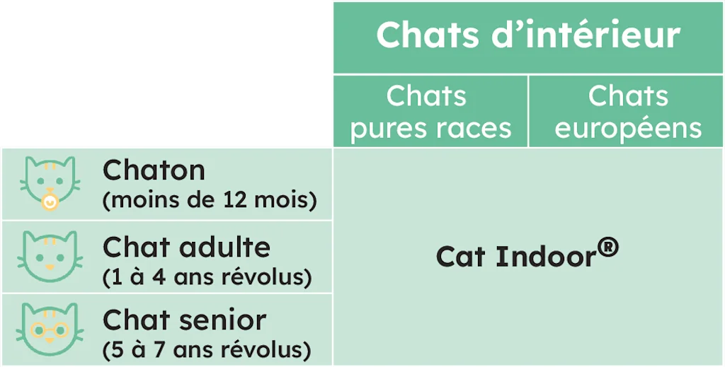 VF Assurance pour chat d intérieur comment choisir santévet