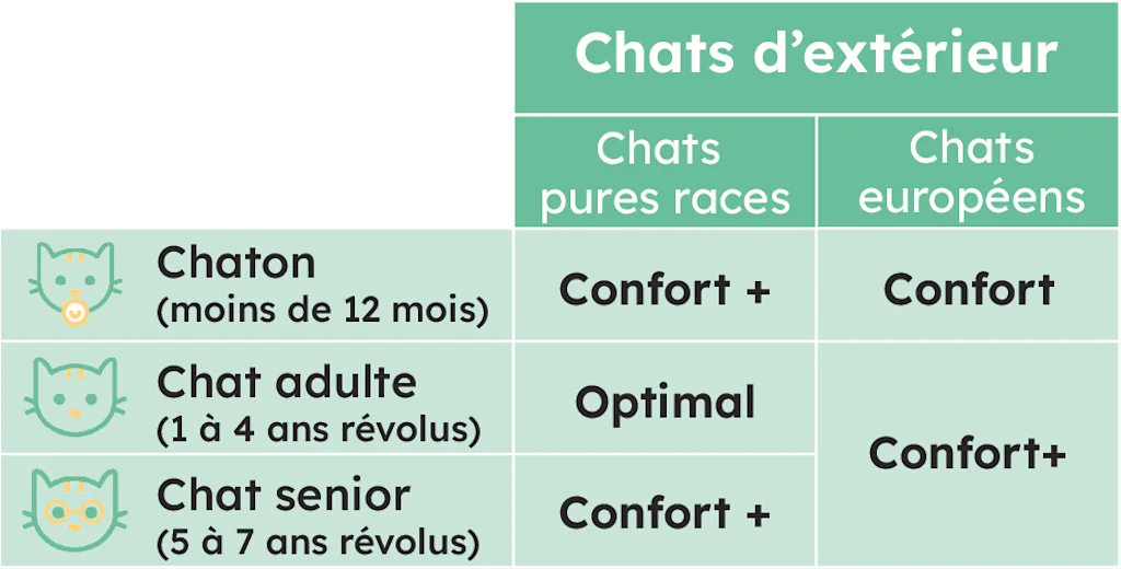 VF Assurance pour chat extérieur comment choisir santévet
