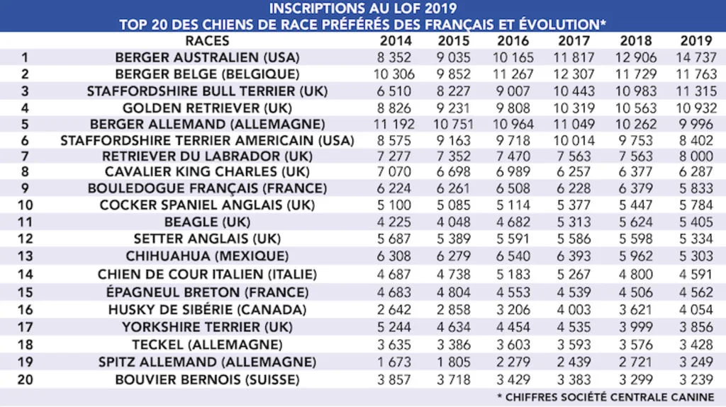 Top_20_Chiens_de_races_preferes_des_Fran&ccedil;ais_2019_SCC