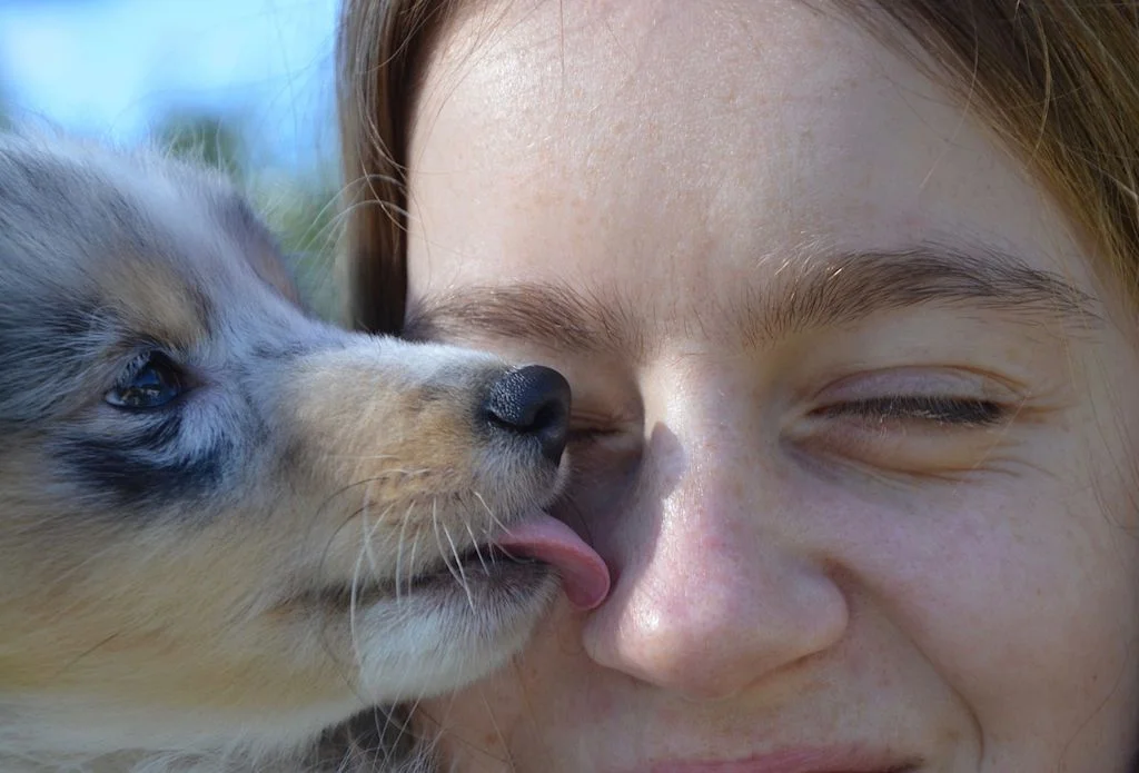 Chien qui lèche sa maitresse