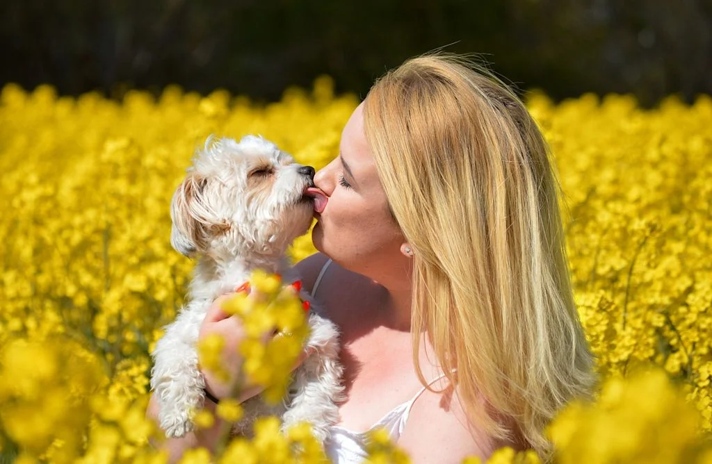 Chien qui lèche sa maitresse
