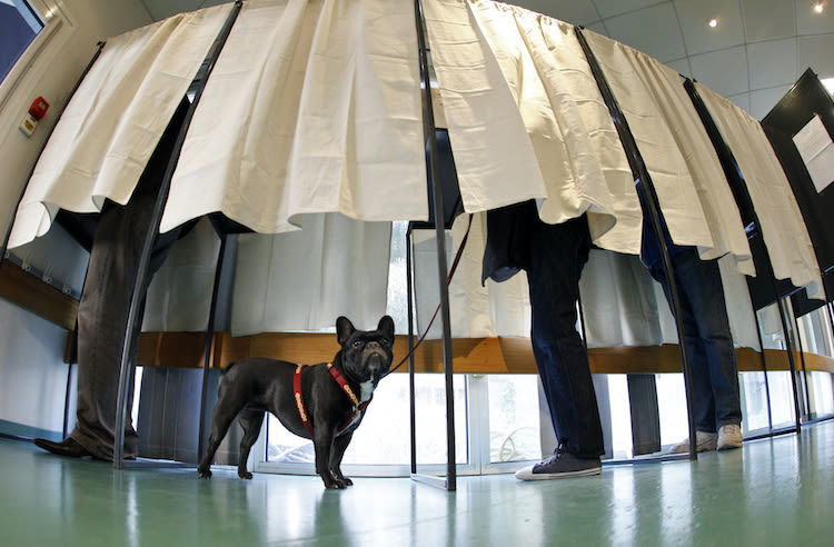 La cause animale fait son entrée dans les municipales 2020