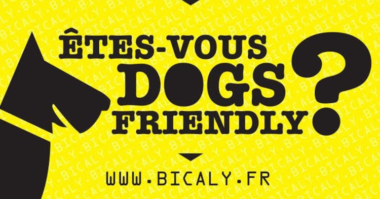 Municipales:les chiens veulent retrouver leur place à Lyon
