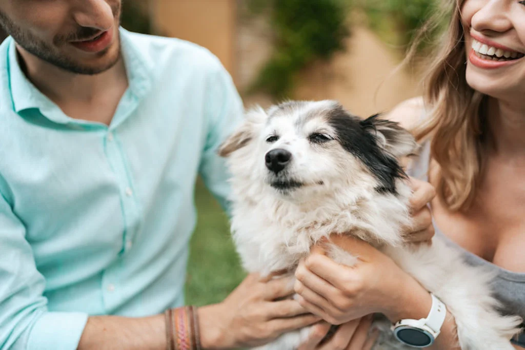 Adoption chien Seconde Chance