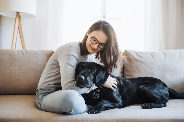 COVID-19: que faire avec son chien, confinés à la maison ?