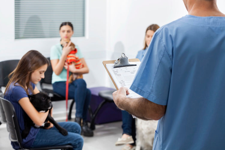 Covid-19 : de nouvelles mesures chez vos vétérinaires