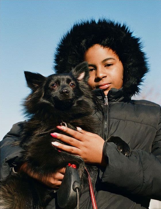 Sortir son chien: prétexte et échappatoire au confinement?