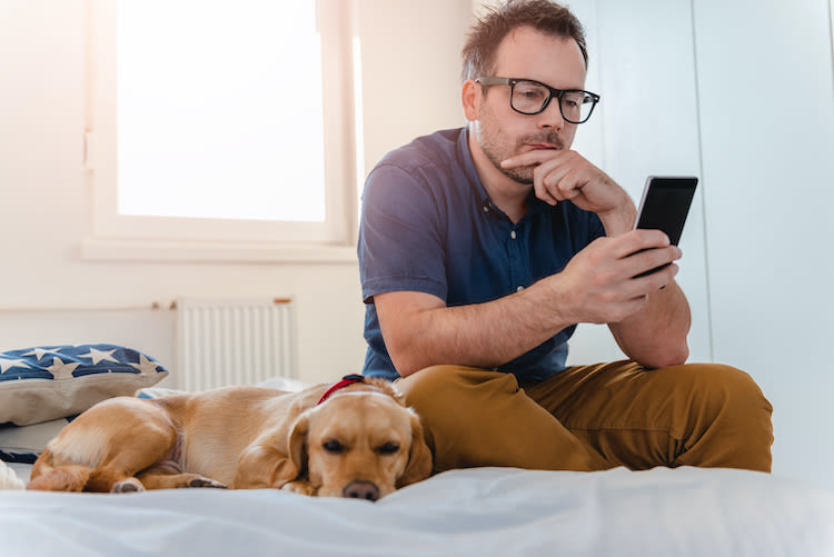 Sortir son chien : une autorisation sur votre téléphone