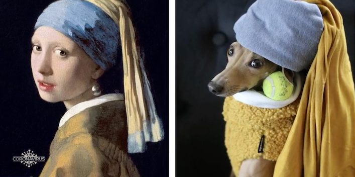 Challenge Getty : chiens, chats et NAC font de l’art