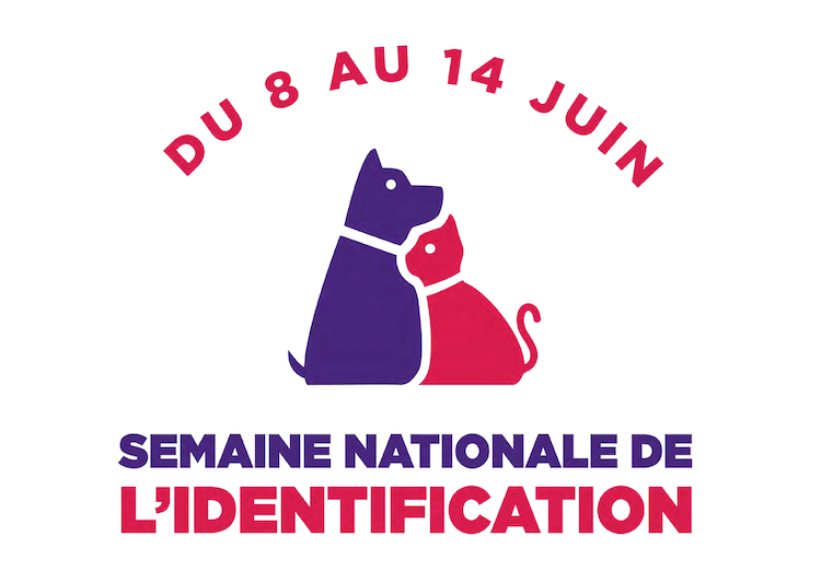 Rendez-vous pour la Semaine nationale de l’identification