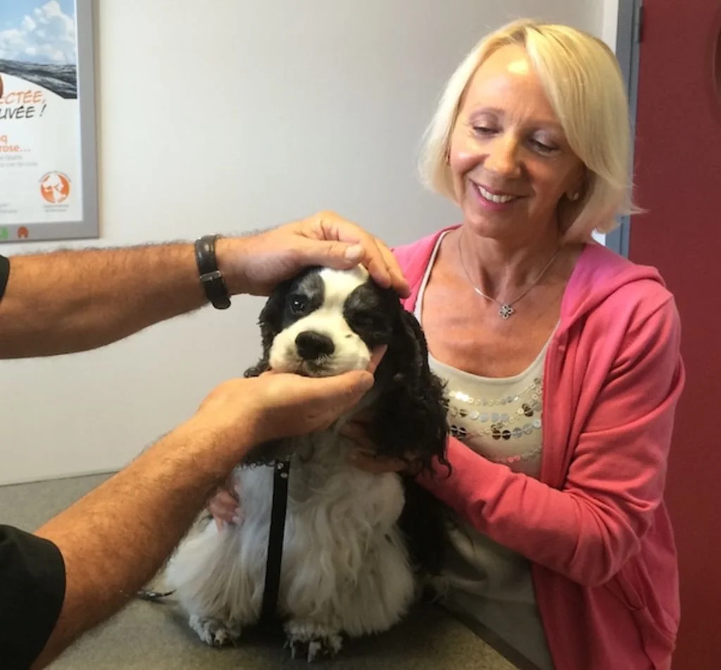 oscultation chien veterinaire
